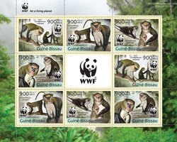WWF Обезьяны