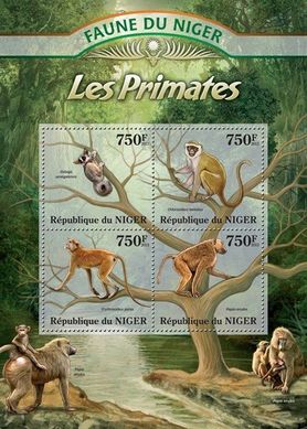 Примати