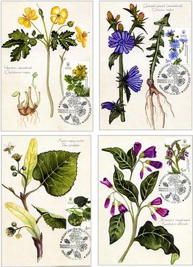 Лекарственные растения