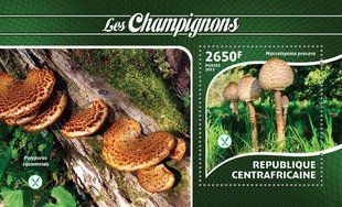 Fungi