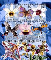 Butterflies and orchids