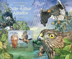 Орнитолог Дин Артур Амадон. Птицы