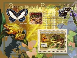 Frogs and butterflies