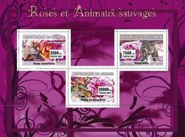 Roses and wild animals