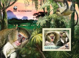 WWF Мавпи
