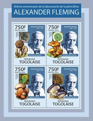 Bacteriologist Alexander Fleming