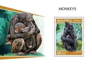 Monkey