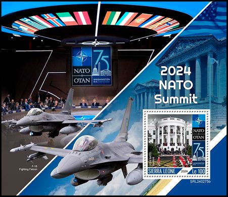 2024 NATO Summit