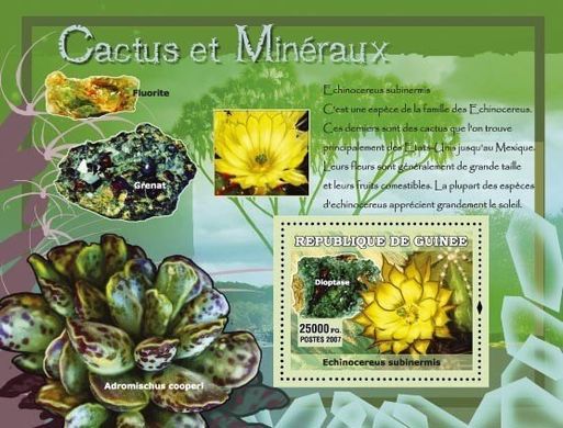 Cacti and minerals