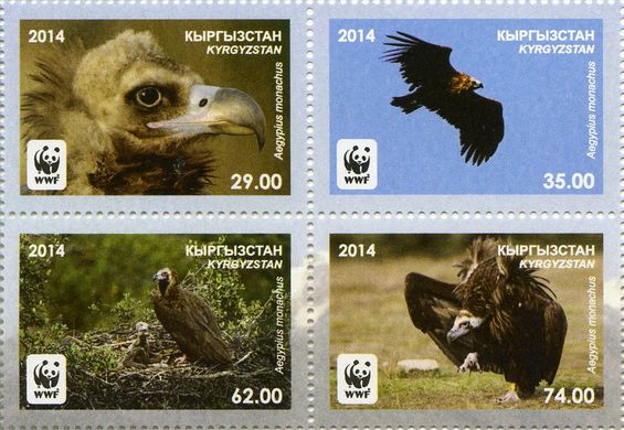 WWF Black Vulture