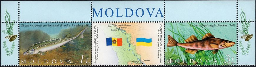 Moldova-Ukraine Pisces