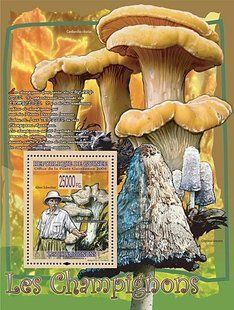 Fungi