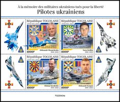 Украинские летчики
