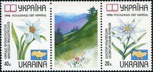 Червона книга Флора