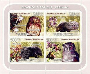 Owls. Porcupines. Orchids
