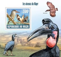 Birds of Niger