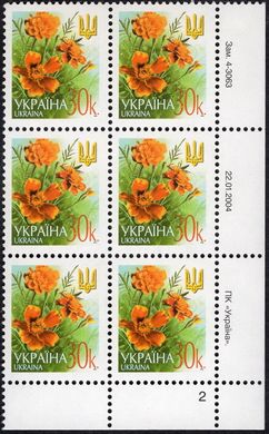 2004 0,30 VI Definitive Issue 4-3063 (m-t 2004) 6 stamp block RB2
