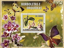 Бабочки и орхидеи