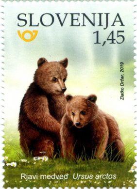 Bear Fauna
