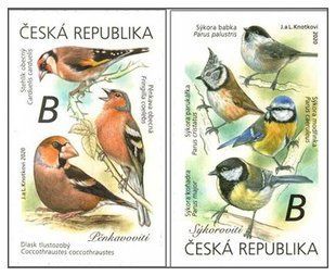 Singing birds