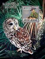 Robert Baden-Powell and owls