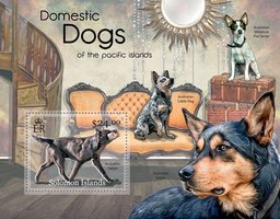 Domestic dogs