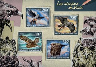 Predator birds