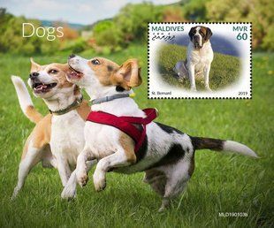 Dogs