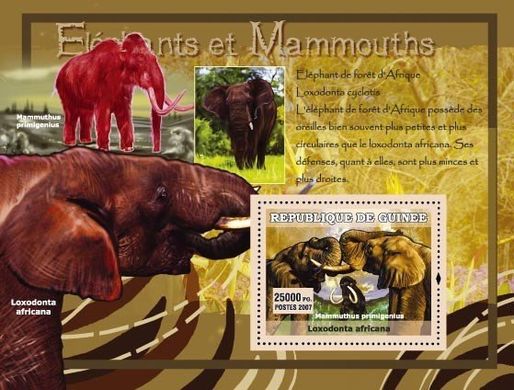 Elephants and mammoths