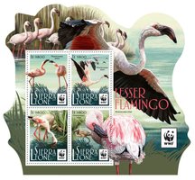 WWF Lesser flamingo