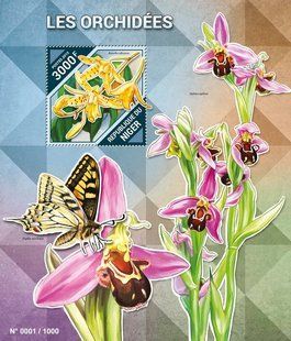 Orchids