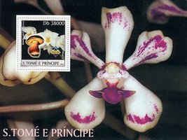 Орхідеї і гриби