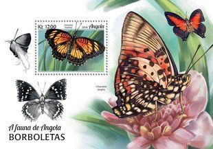 Butterflies