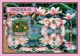 Orchids