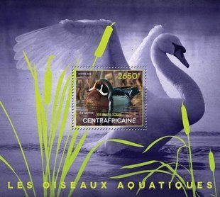 Waterfowl