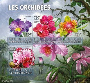 Orchids