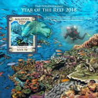 Year of the Reef