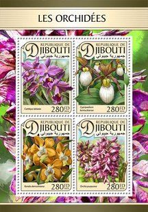 Orchids