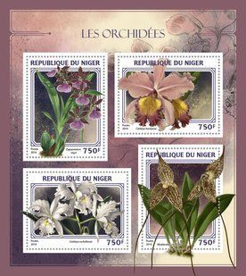 Orchids