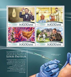 Microbiologist Louis Pasteur