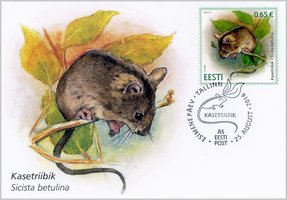 Northern mouse