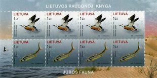 Marine fauna