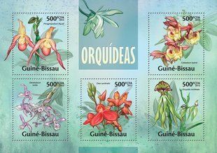 Orchids