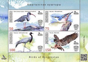 Birds of Kyrgyzstan