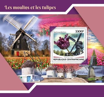 Windmills and tulips
