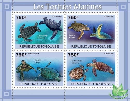Морські черепахи