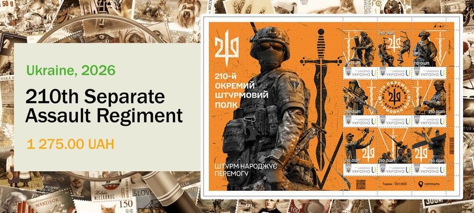 210 Окремий штурмовий полк