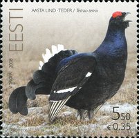 Bird of the year Black grouse