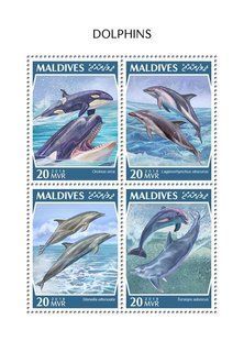 Dolphins