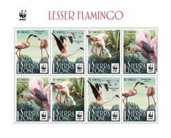 WWF Малый фламинго